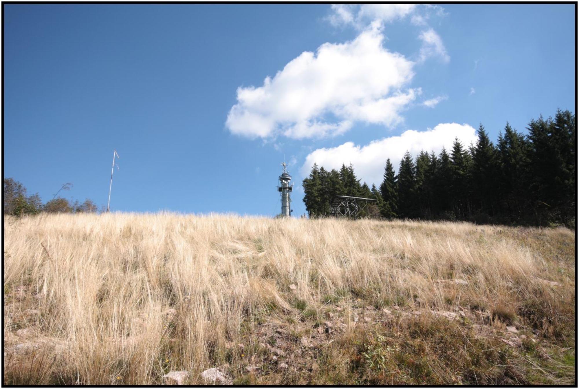 Отель Pop-Up Stuub Feldberg Фельдберг Экстерьер фото