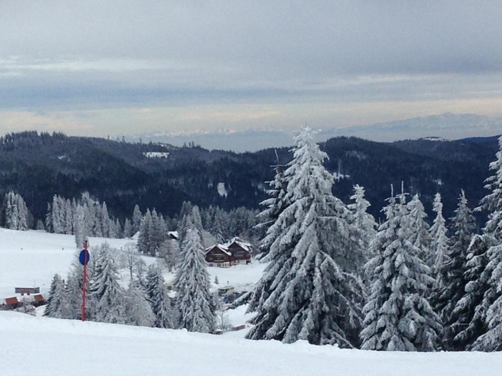 Отель Pop-Up Stuub Feldberg Фельдберг Экстерьер фото